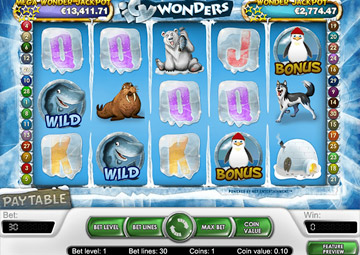 Icy Wonders gameplay screenshot 3 small