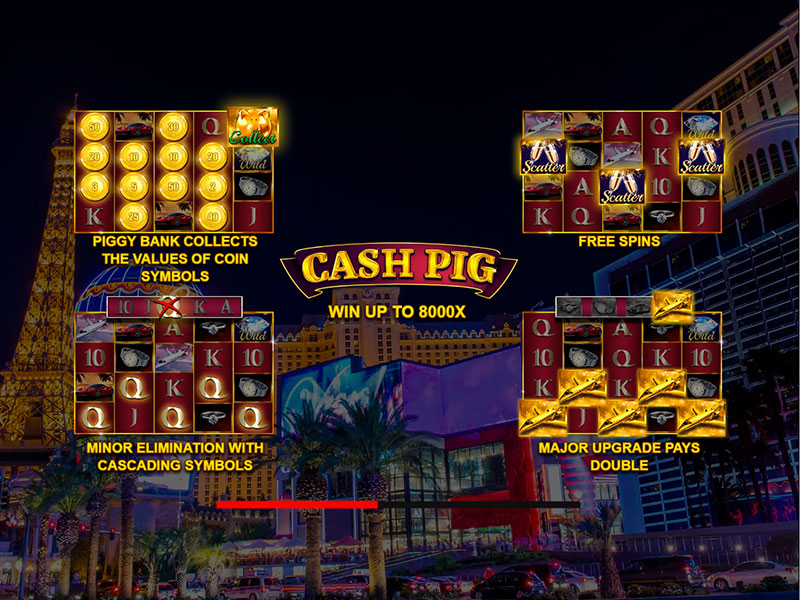 Cash Pig gameplay screenshot 1 small