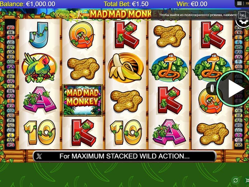 Play Mad Mad Monkey Slot Real Money