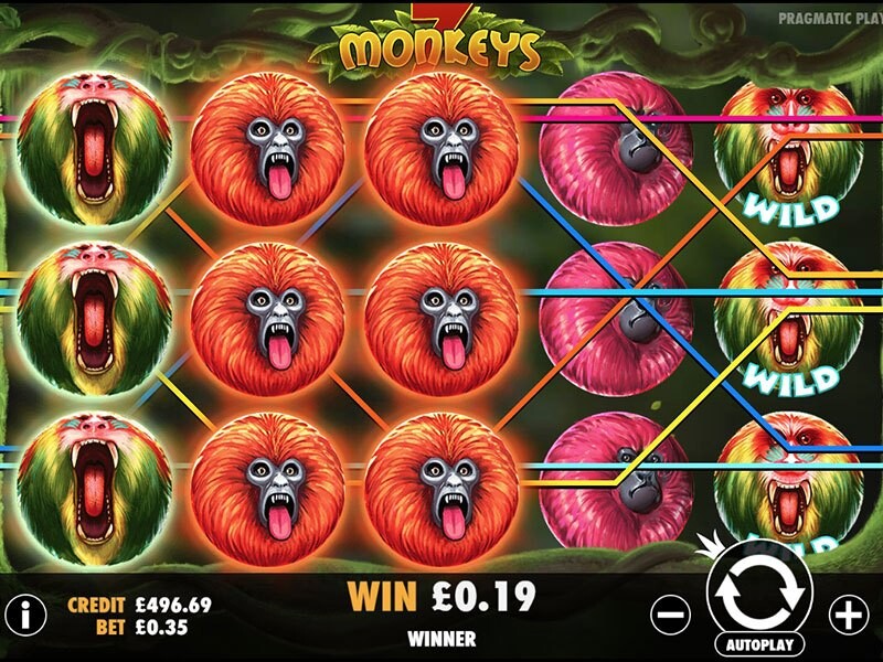 7 Monkeys Slot – Win on This Intuitive Game