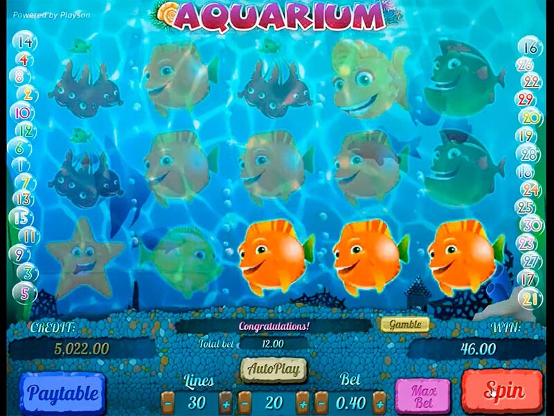 Aquarium Slot– Swim Your Way to Great Wins!